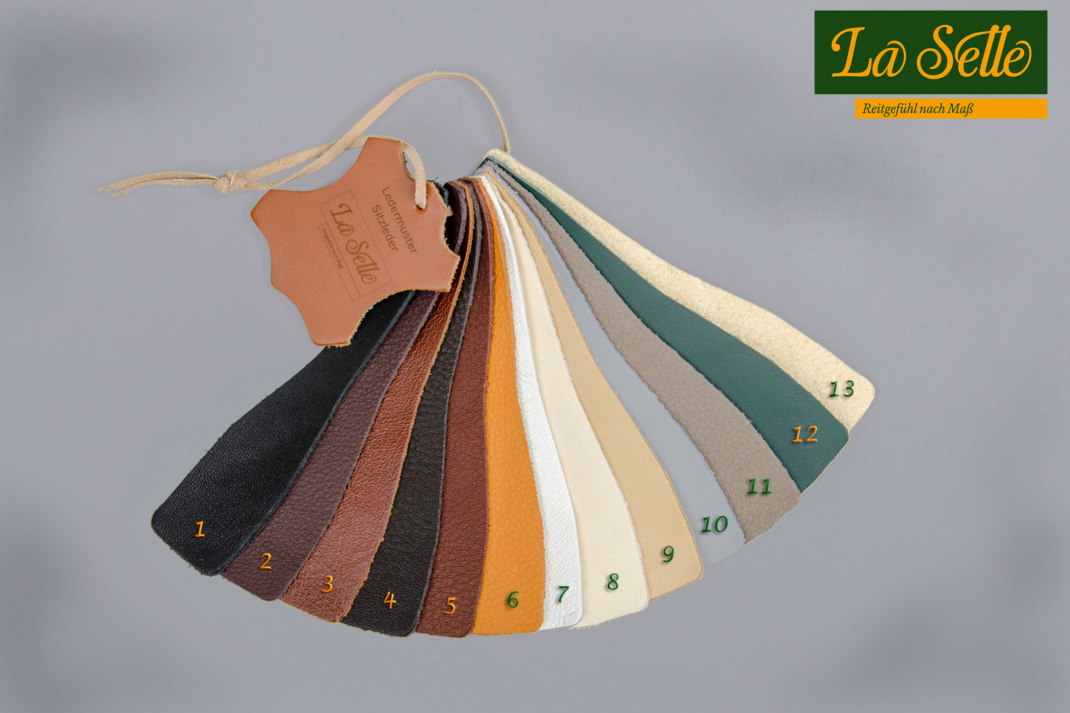 Sitzlederfarben mit Logo klein mit Nummer klein