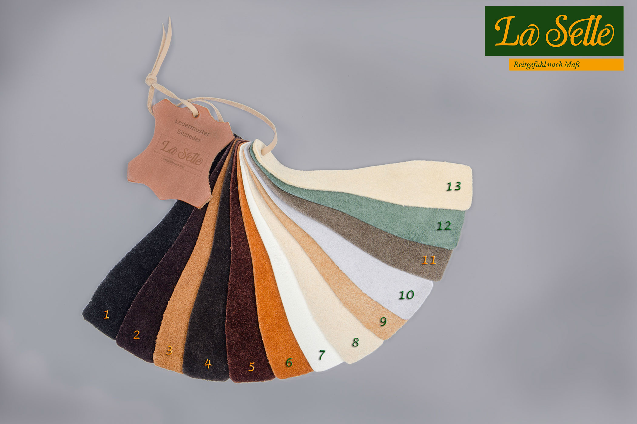 Sitzlederfarben rau mit Logo klein mit Nummer