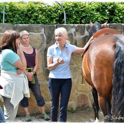 13301354 1107879872601736 3329226535432997867 O