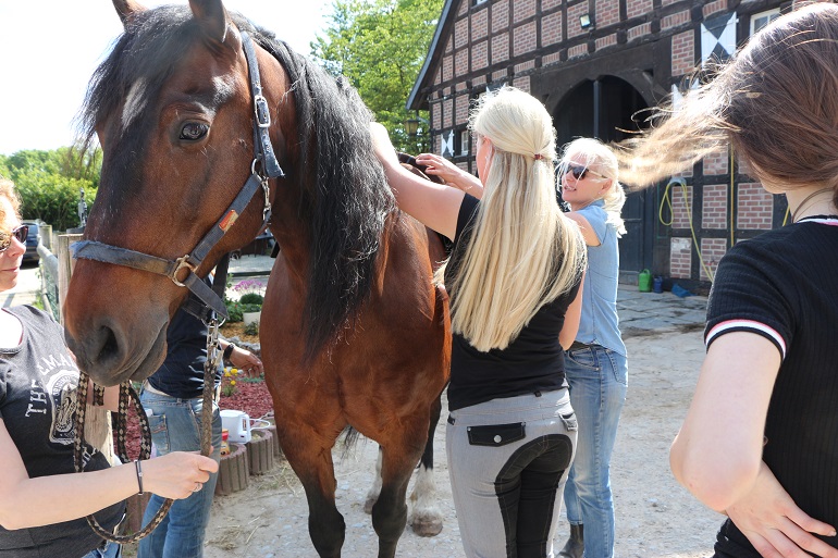 Sattelprobleme 2 Kopie